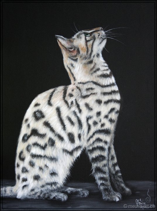 Bengalkatze Acryl auf Leinwand;
60 x 80 cm