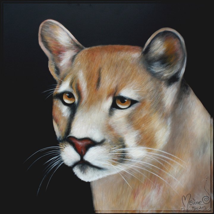 Puma Acryl auf Leinwand;
120 x 120 cm