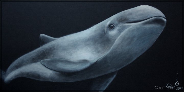 Schweinswal Acryl auf Leinwand;
100 x 50 cm