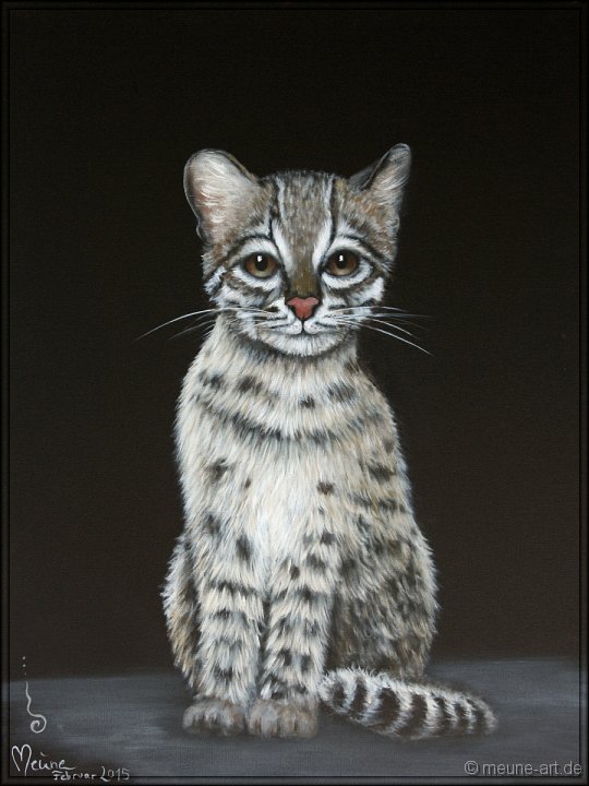 Tigerkatze Acryl auf Leinwand;
60 x 80 cm