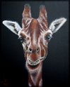 Giraffe; Acryl auf Leinwand;
60 x 80 cm