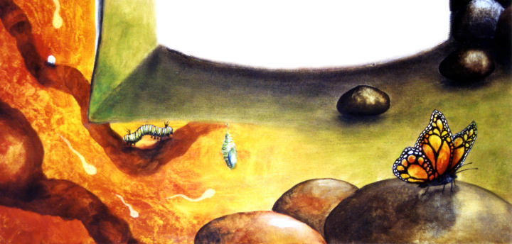 Metamorphose