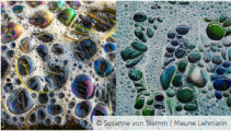 Parallelwelten