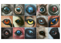 Hundeartige