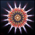 Wunderkerze Acryl auf Leinwand;
100 x 100 cm
