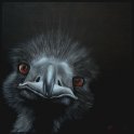 Emu