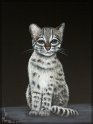 Tigerkatze; Acryl auf Leinwand;
60 x 80 cm