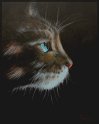 Wildkatze