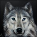 Wolf; Acryl auf Leinwand;
70 x 70 cm;
verkauft